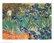 Iris Garden - Art Print by Vincent Van Gogh | Movie Poster Prints from Posterazzi