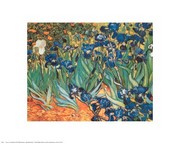 Iris Garden - Art Print by Vincent Van Gogh | Movie Poster Prints from Posterazzi