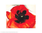 Poppy - Art Print by Georgia O'Keeffe | Movie Poster Prints from Posterazzi