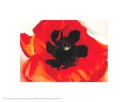 Poppy - Art Print by Georgia O'Keeffe | Movie Poster Prints from Posterazzi