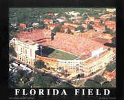 "Florida Field - University Of Florida, G" - Art Print by Mike Smith | Movie Poster Prints from Posterazzi