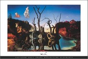 Swans Reflecting Elephants - Art Print by Salvador Dali | Movie Poster Prints from Posterazzi