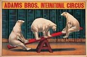 Adams Bros Int'l Circus - Art Print | Movie Poster Prints from Posterazzi