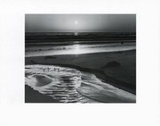 Birds On A Beach - Art Print by Ansel Adams | Movie Poster Prints from Posterazzi