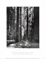 "Redwoods, Founders Grove" - Art Print by Ansel Adams | Movie Poster Prints from Posterazzi