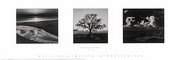 Trilogy - Art Print by Ansel Adams | Movie Poster Prints from Posterazzi