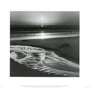 Birds On A Beach - Art Print by Ansel Adams | Movie Poster Prints from Posterazzi