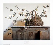 Apple Blossoms - Art Print by Pauline Eble Campanelli | Movie Poster Prints from Posterazzi