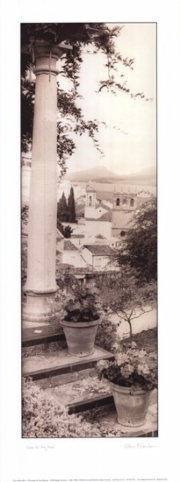 Alan Blaustein Casa del Rey Moro 9.00 x 24.00 Poster Print