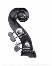 Bass Neck - Art Print by Michel Ditlove | Movie Poster Prints from Posterazzi