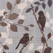 A Sparrow's Garden II - Art Print by Tandi Venter | Movie Poster Prints from Posterazzi