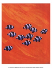 10 Black-Tailed Humbugs - Art Print by Keith Siddle | Movie Poster Prints from Posterazzi
