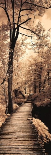 A Quiet Stroll I - Art Print by Ily Szilagyi | Poster Prints from Posterazzi