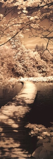A Quiet Stroll II - Art Print by Ily Szilagyi | Poster Prints from Posterazzi
