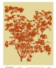 All American I - Art Print by Susan Davies | Poster Prints from Posterazzi