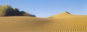 A. Navaro - Dunes II Size 27.5x10 - Art Print by A. Navaro | Movie Poster Prints from Posterazzi