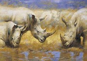 Rhinoceros - Art Print by Joaquin Moragues | Movie Poster Prints from Posterazzi