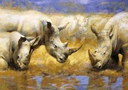 Rhinoceros - Art Print by Joaquin Moragues | Movie Poster Prints from Posterazzi