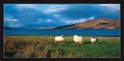Isle Of Skye - Art Print by Thierry Martinez | Movie Poster Prints from Posterazzi