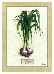 Allium - Art Print by Vincent Jeannerot | Movie Poster Prints from Posterazzi
