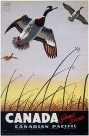 Canada For Game Birds - Art Print | Movie Poster Prints from Posterazzi