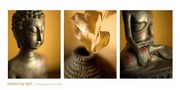 Balancing Light - Art Print by Tom Weber | Movie Poster Prints from Posterazzi