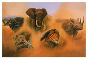 Other Elephant - Art Print by Clive Kay | Movie Poster Prints from Posterazzi