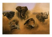 Other Elephant - Art Print by Clive Kay | Movie Poster Prints from Posterazzi