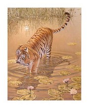 At the Edge of Night - Tiger - Art Print by Richard Stanley | Movie Poster Prints from Posterazzi