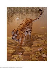 At the Edge of Night - Tiger - Art Print by Richard Stanley | Movie Poster Prints from Posterazzi
