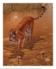 At the Edge of Night - Tiger - Art Print by Richard Stanley | Movie Poster Prints from Posterazzi