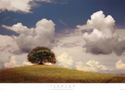 A Place To Dream - Art Print by  Scanlan | Movie Poster Prints from Posterazzi