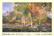 Birch Pond - Art Print by Douglas Chun | Movie Poster Prints from Posterazzi