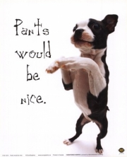 Pants Would Be Nice - Art Print by Yoneo Morita | Movie Poster Prints from Posterazzi