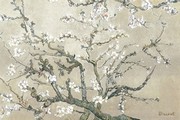 "Blossoming Almond Tree, Saint-Remy, c.1890" - Art Print by Vincent Van Gogh | Movie Poster Prints from Posterazzi