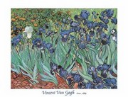 "Irises in the Garden, Saint-Remy, c.1889" - Art Print by Vincent Van Gogh | Movie Poster Prints from Posterazzi
