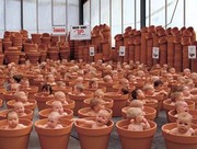 123 Pots - Art Print by Anne Geddes | Movie Poster Prints from Posterazzi