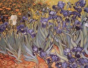 "Irises in the Garden, Saint-Remy, c.1889" - Art Print by Vincent Van Gogh | Movie Poster Prints from Posterazzi