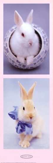 Bunnies - Art Print | Movie Poster Prints from Posterazzi