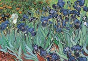 "Irises in the Garden, Saint-Remy, c.1889" - Art Print by Vincent Van Gogh | Movie Poster Prints from Posterazzi