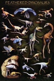 Feathered Dinosaurs I - Art Print | Movie Poster Prints from Posterazzi
