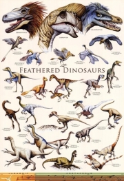 Feathered Dinosaurs II - Art Print | Movie Poster Prints from Posterazzi