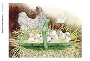 Chicken & Eggs - Art Print by Consuelo Gamboa | Movie Poster Prints from Posterazzi