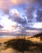 Alan Hausenflock Cotton Candy Sunrise II 11.00 x 14.00 Poster Print