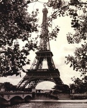Amy Melious Eiffel Tower II 16.00 x 20.00 Poster Print