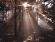 A New Day I - Art Print by Ann Dahlgren | Movie Poster Prints from Posterazzi