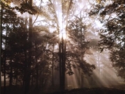 A New Day II - Art Print by Ann Dahlgren | Movie Poster Prints from Posterazzi