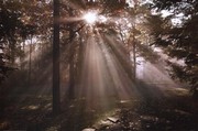 A New Day I - Art Print by Ann Dahlgren | Movie Poster Prints from Posterazzi