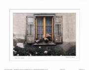 Swiss Lace - Art Print by Tony Casper | Movie Poster Prints from Posterazzi
