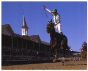 2002 Kentucky Derby War Emblem Tight #866 - Art Print | Movie Poster Prints from Posterazzi